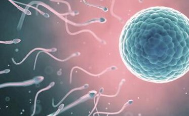 7个月宝宝打麻腮风出大片疹子还有点发烧，多久能退烧呢？