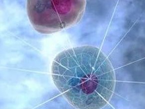 广州AMH值多少为卵巢早衰？不同年龄AMH正常范围汇总表