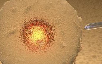 2026扎兰屯市最新男性陪产假有多少天？试管婴儿可以增加产假吗？